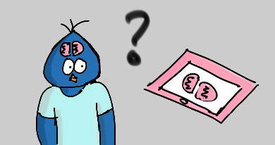 cerveau