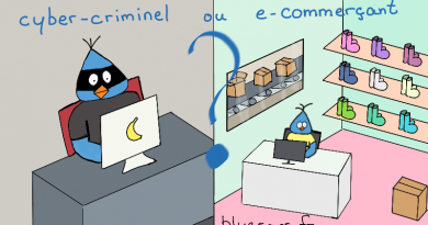 e-commerçant ou cybercriminel