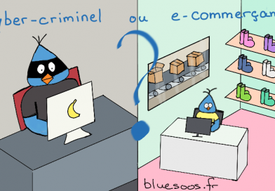 e-commerçant ou cybercriminel